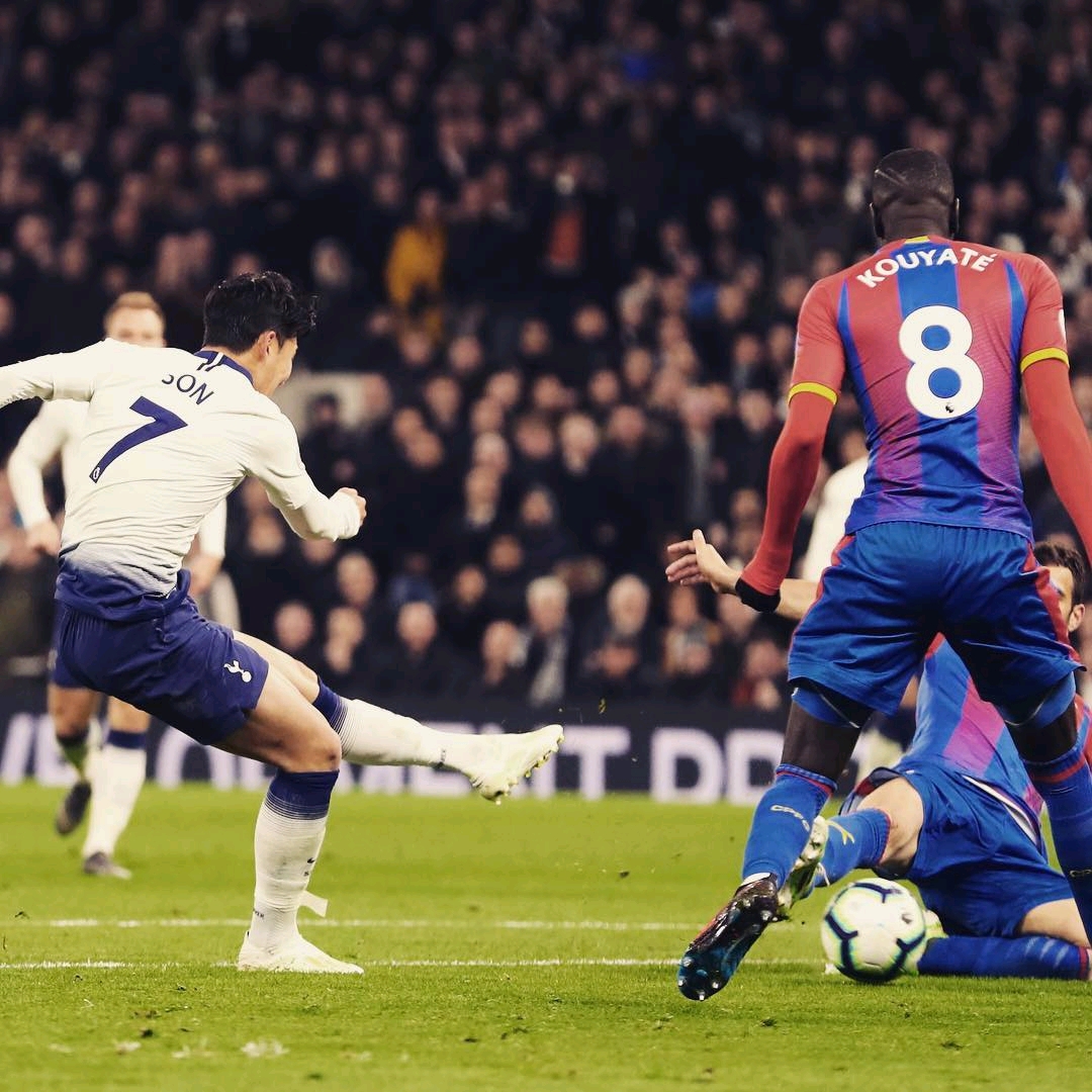 发挥得淋漓 发挥得淋漓